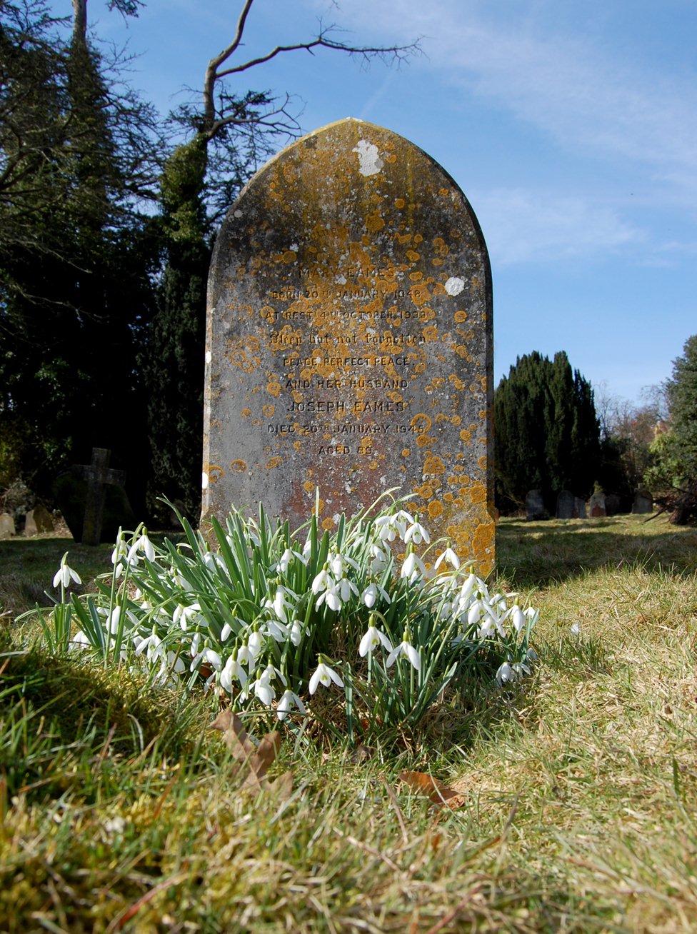 click image to return