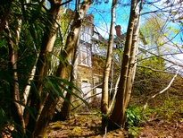 Derelict school - 2013