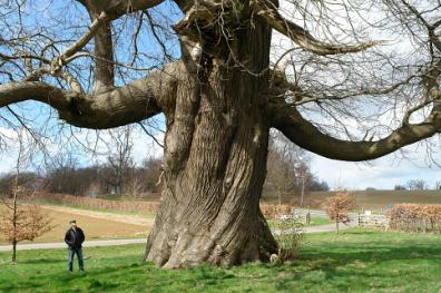 photo:- Jeroen Pater
click for larger image