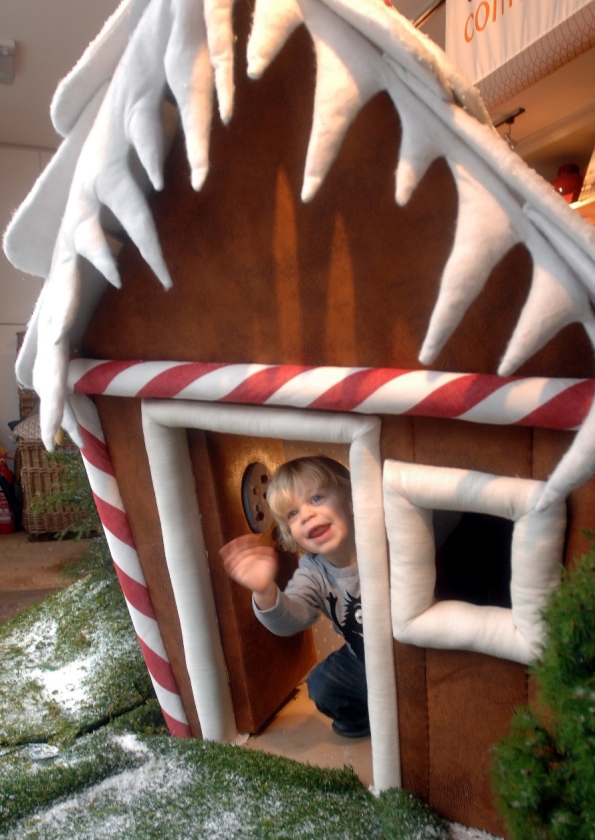 photo- Midhurst & Petworth Observer, Dec. 2011 - - 
click image to return