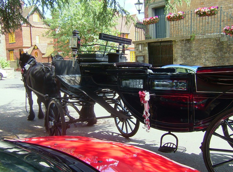 click image to return