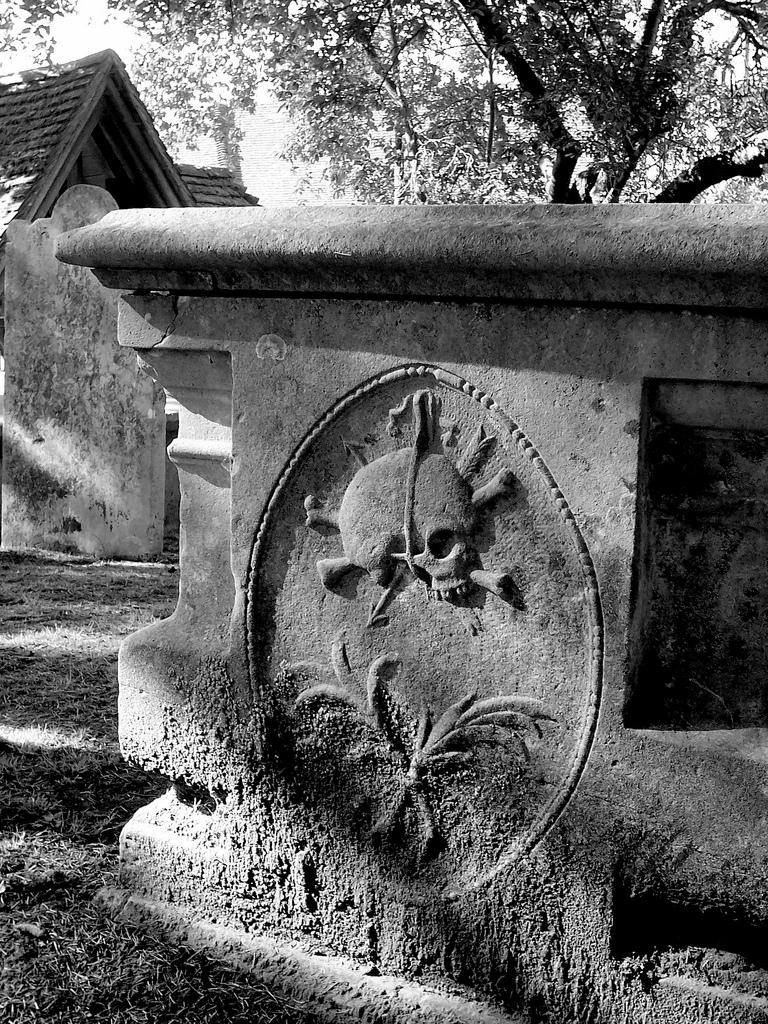 click image to return