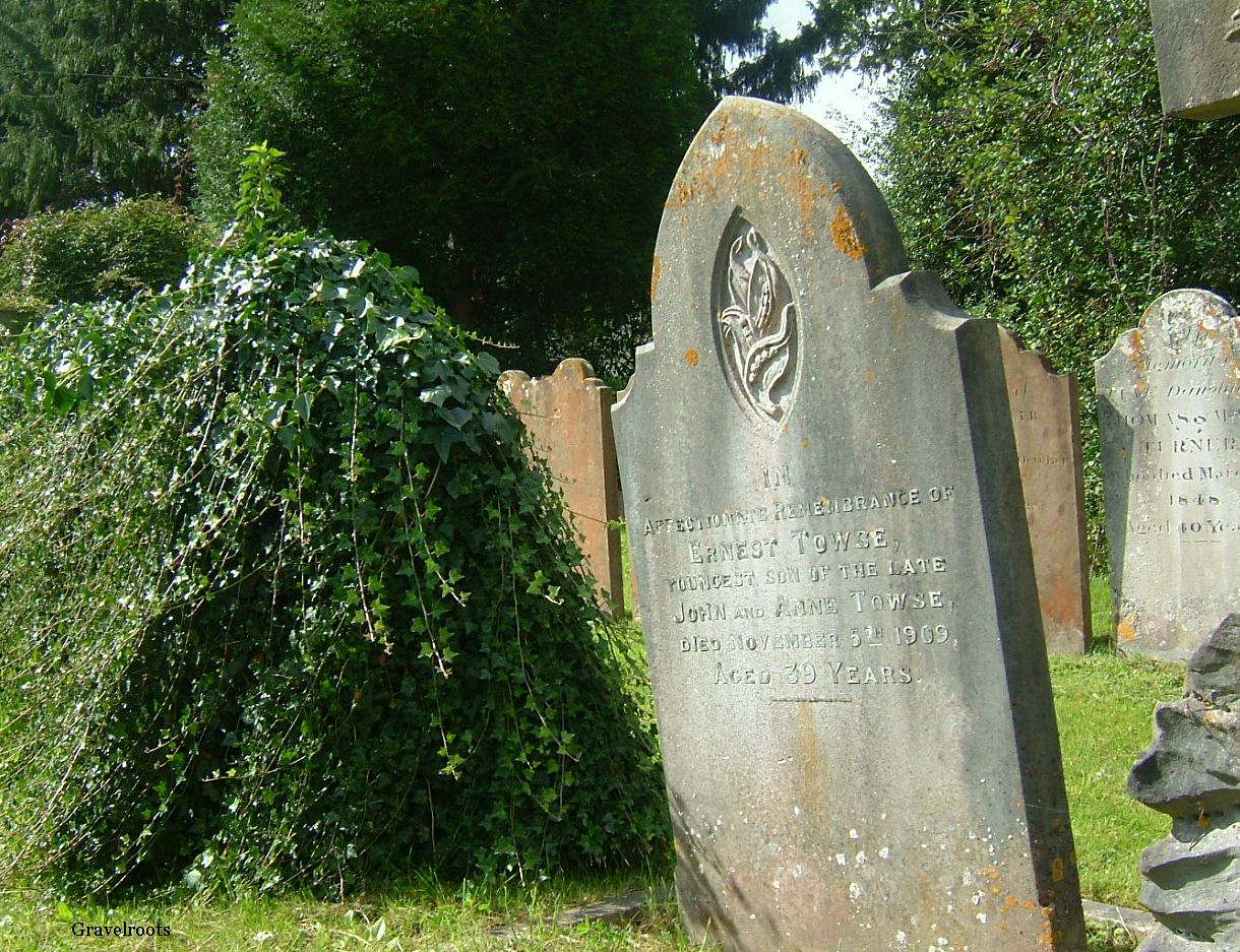 click image to return