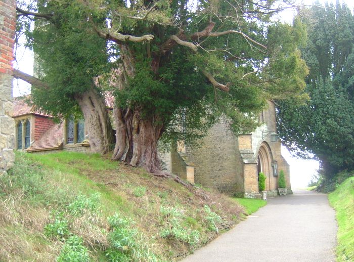 All Hallows, Tillington