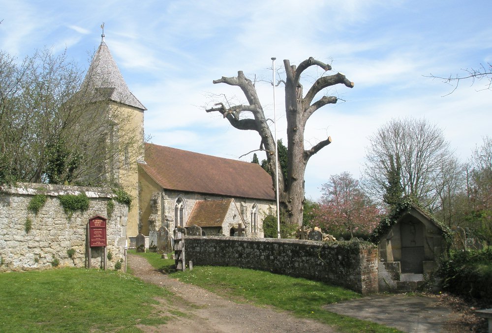 click image to return