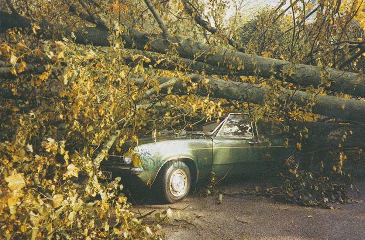 old photo of the 1987 storm - click image below to return