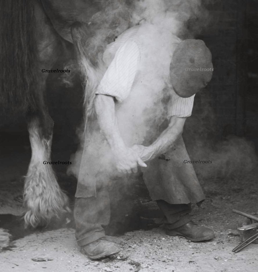 click image to return