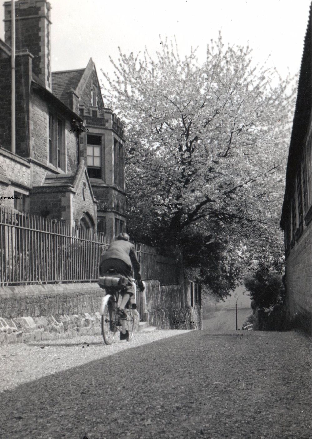 further image below