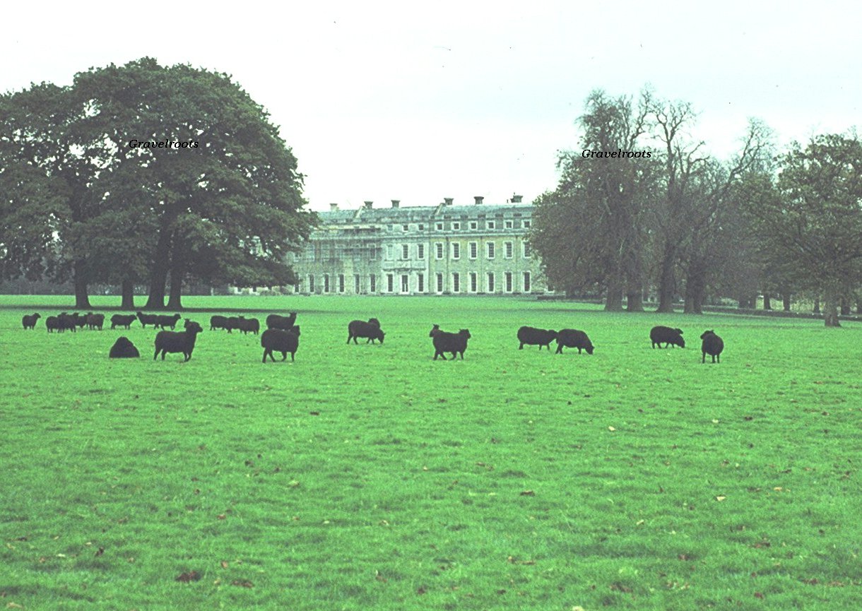 click image to return