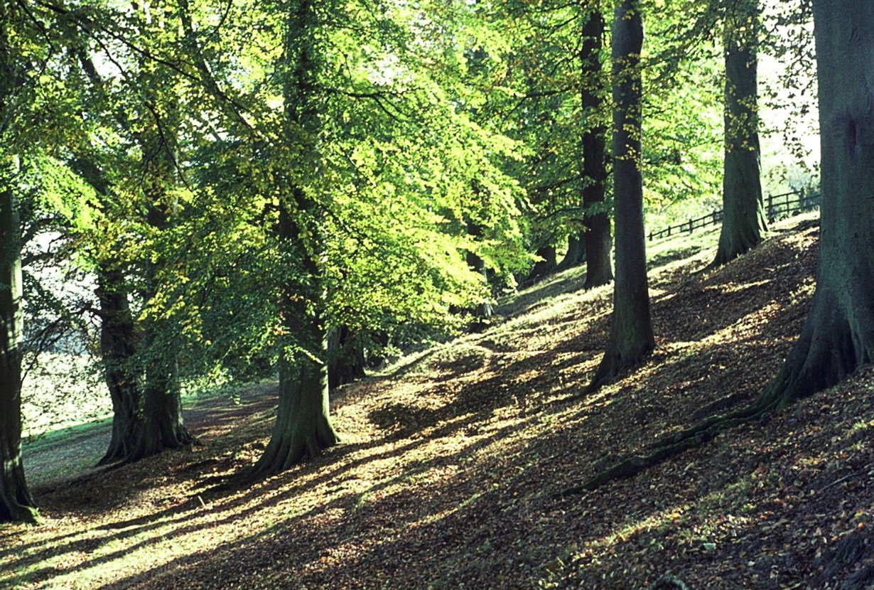 click image to return