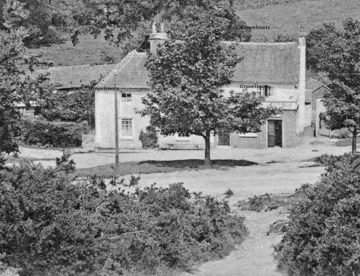 Half Moon Pub, Midhurst, Sussex, c.1910

