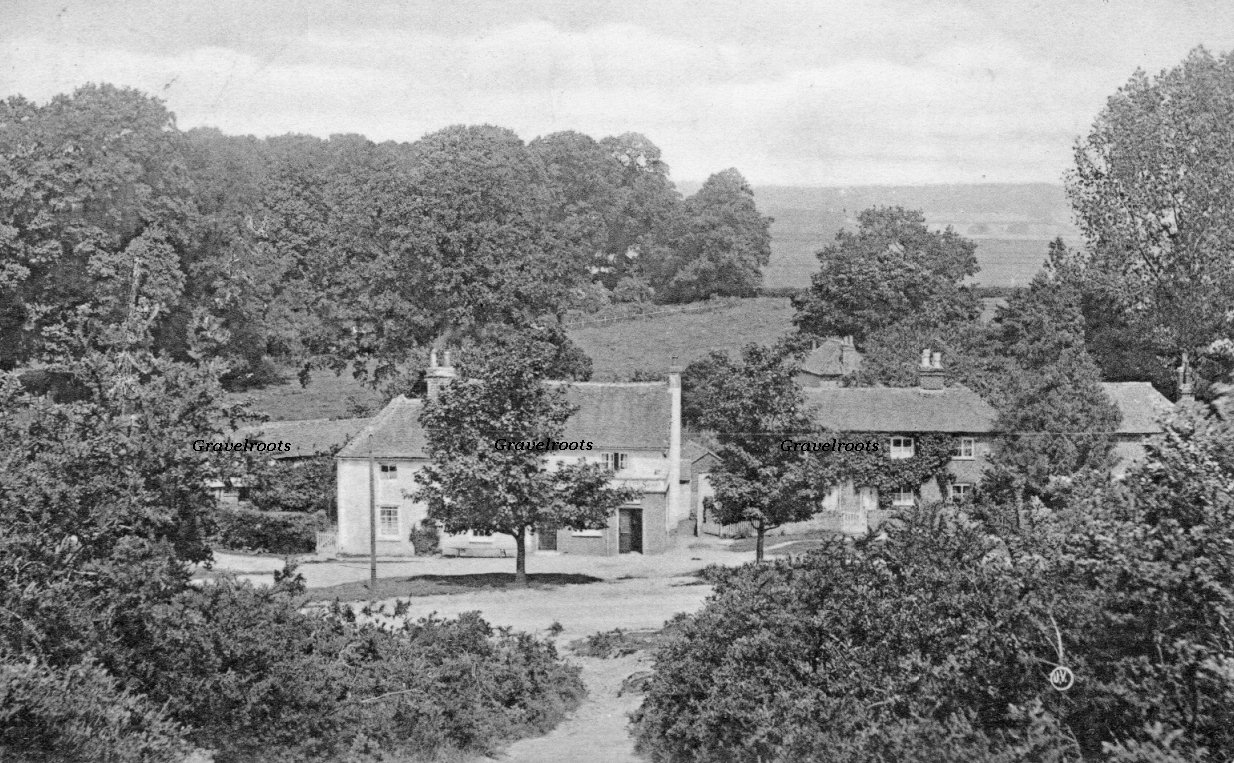 Half Moon Pub, Midhurst, Sussex, c.1910 - 
further image below