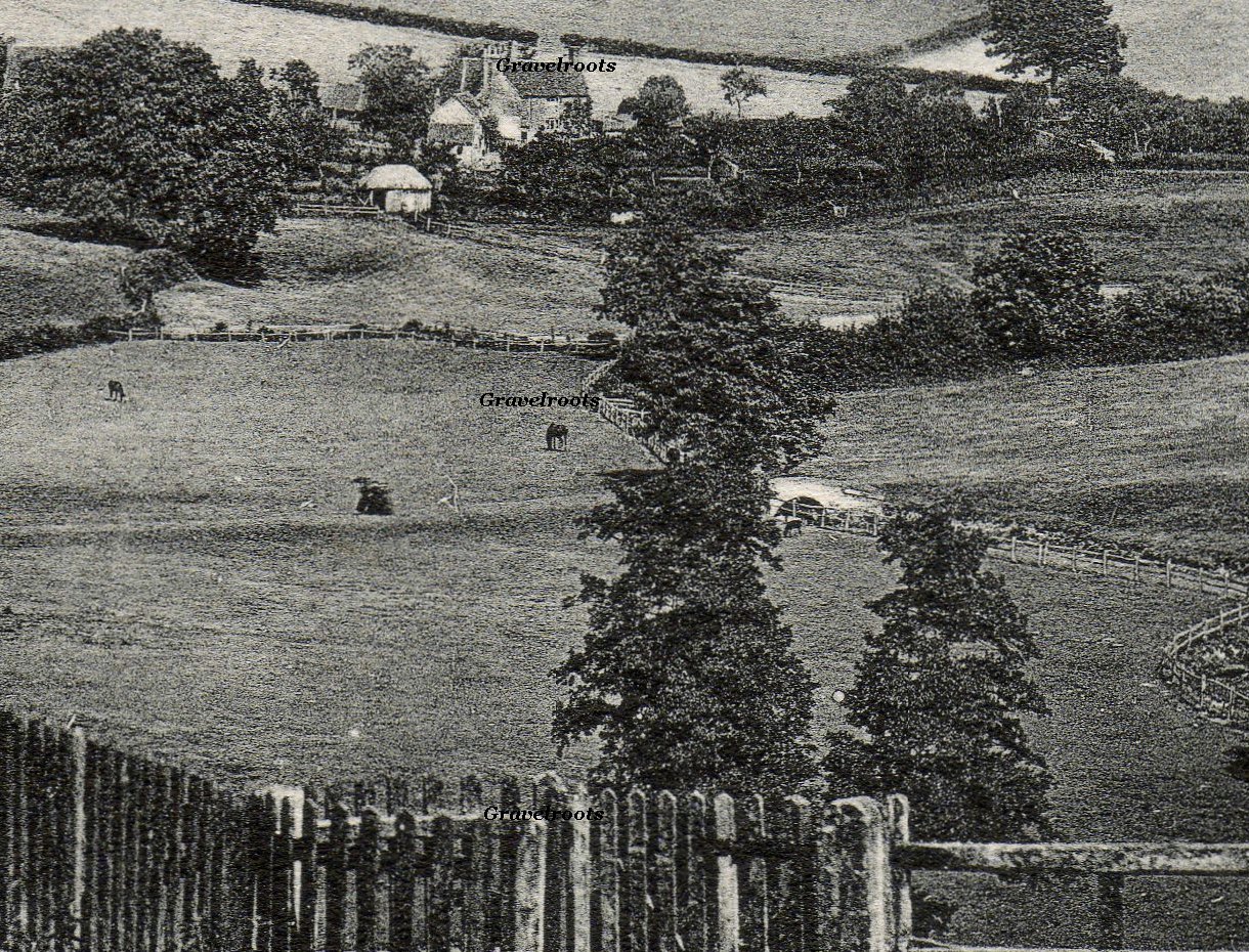 Petworth, Sussex, c.1903-06

