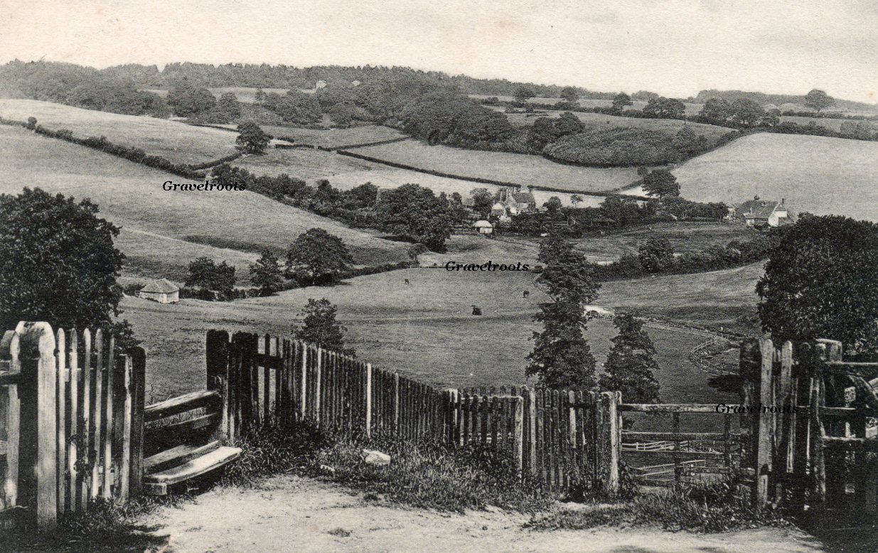 Petworth, Sussex, c.1903-06 - 
further image below