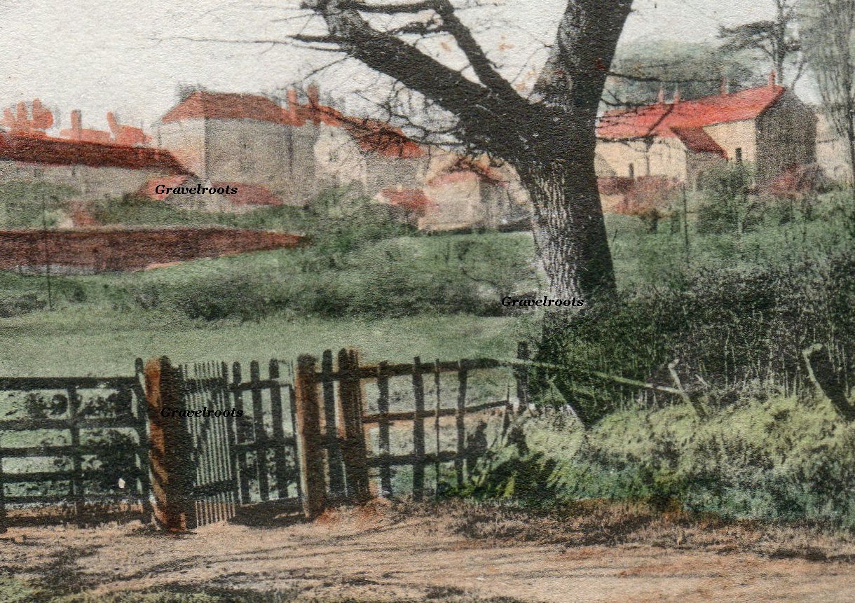 Rectory Meadows, Petworth, Sussex, c.1900-05
