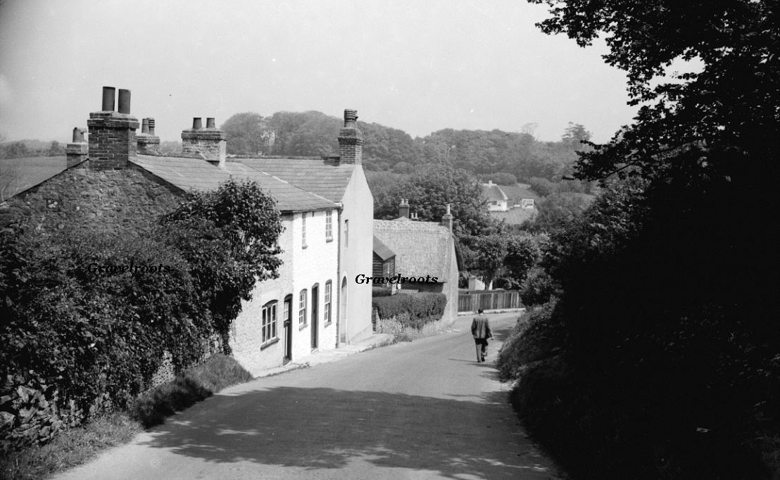 click image to return