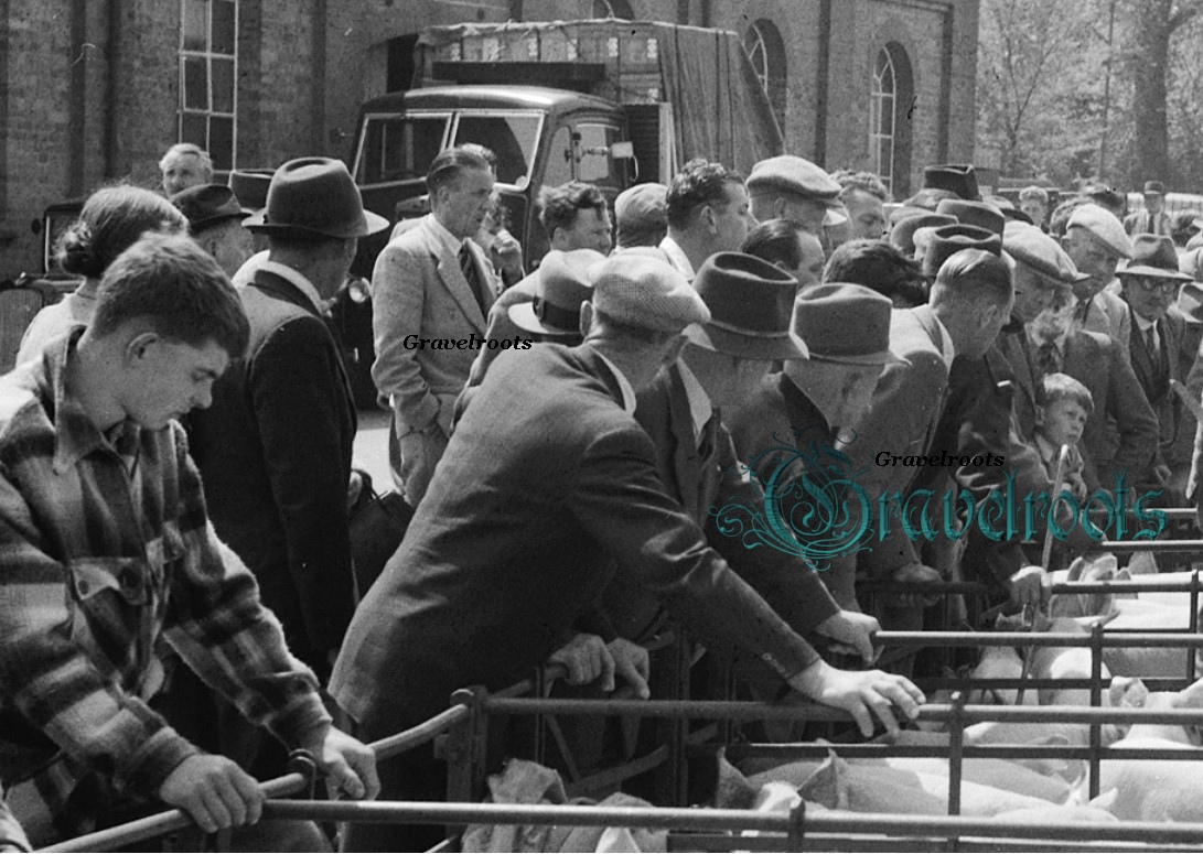 Dorchester Market, Dorset 
click image to return