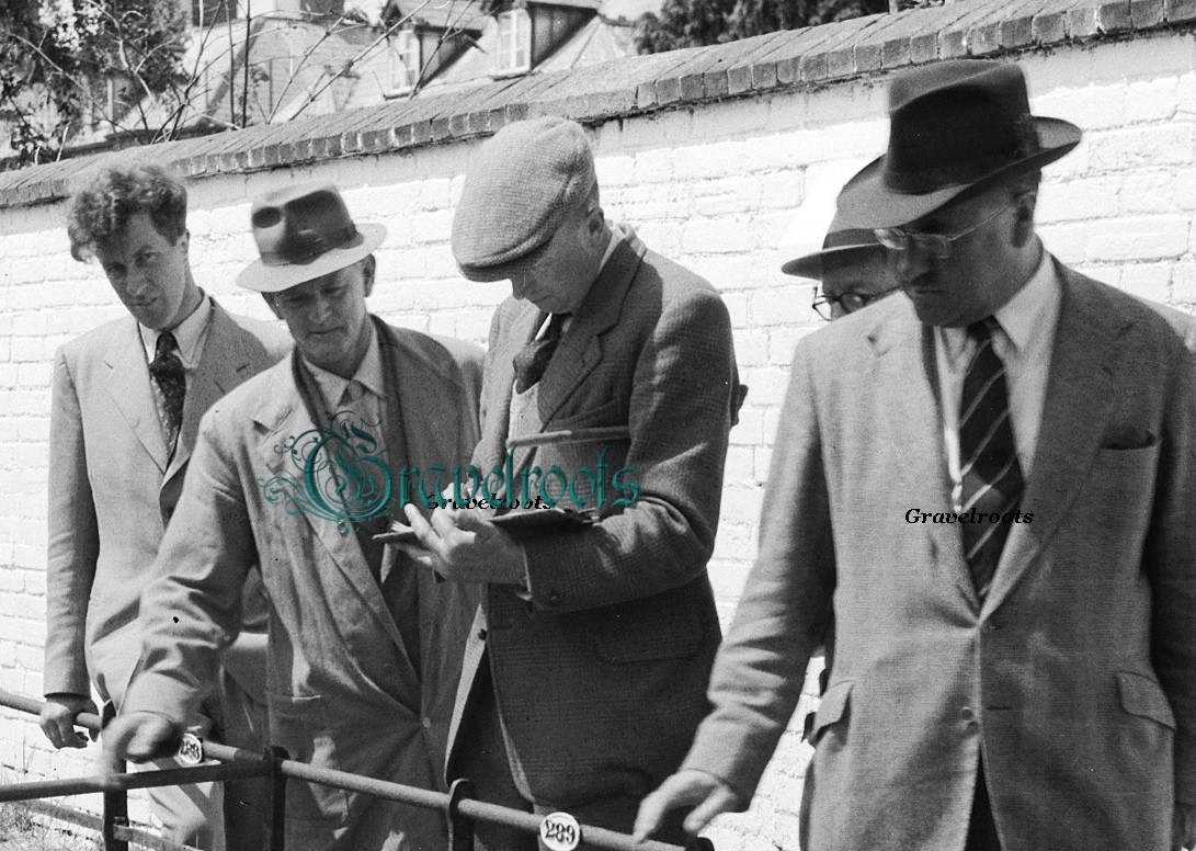 Dorchester Market, Dorset 
click image to return