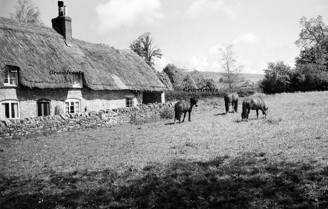 click image to return