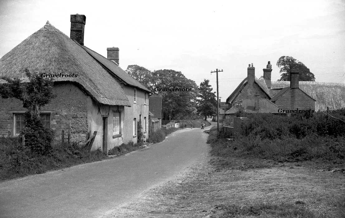 click image to return