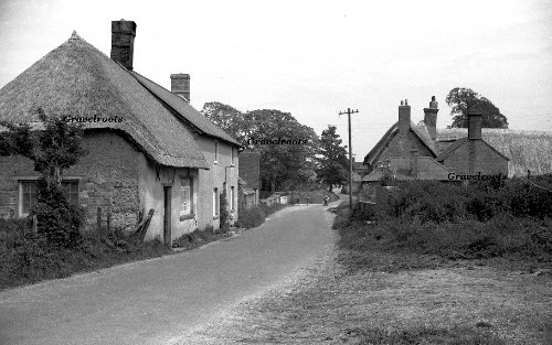 Old Dorset 