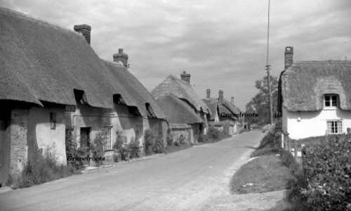 Old Dorset 