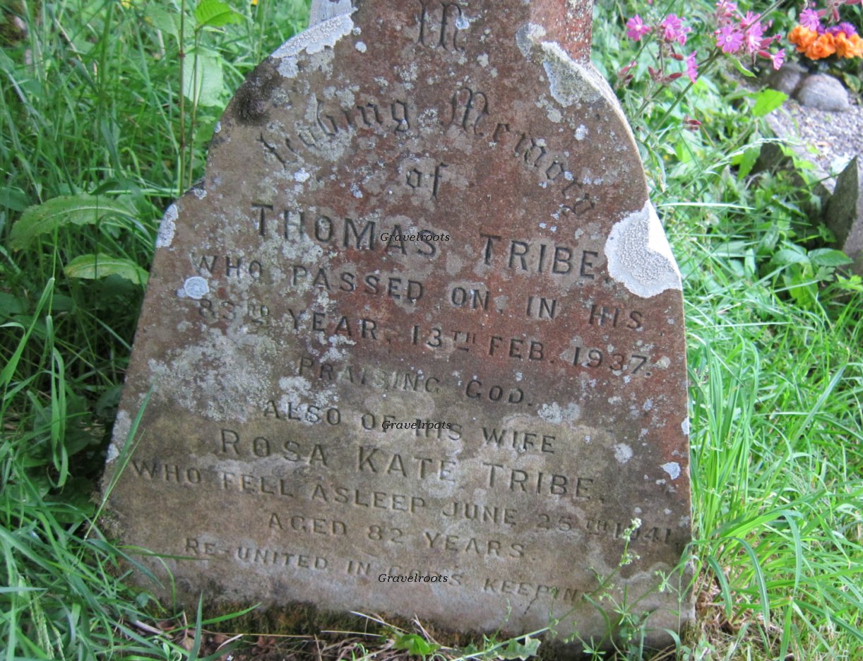 click image to return