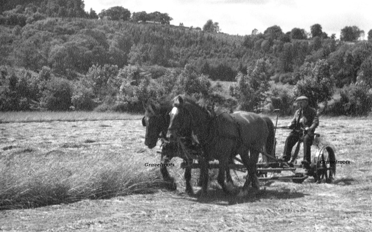 Madehurst, further image below