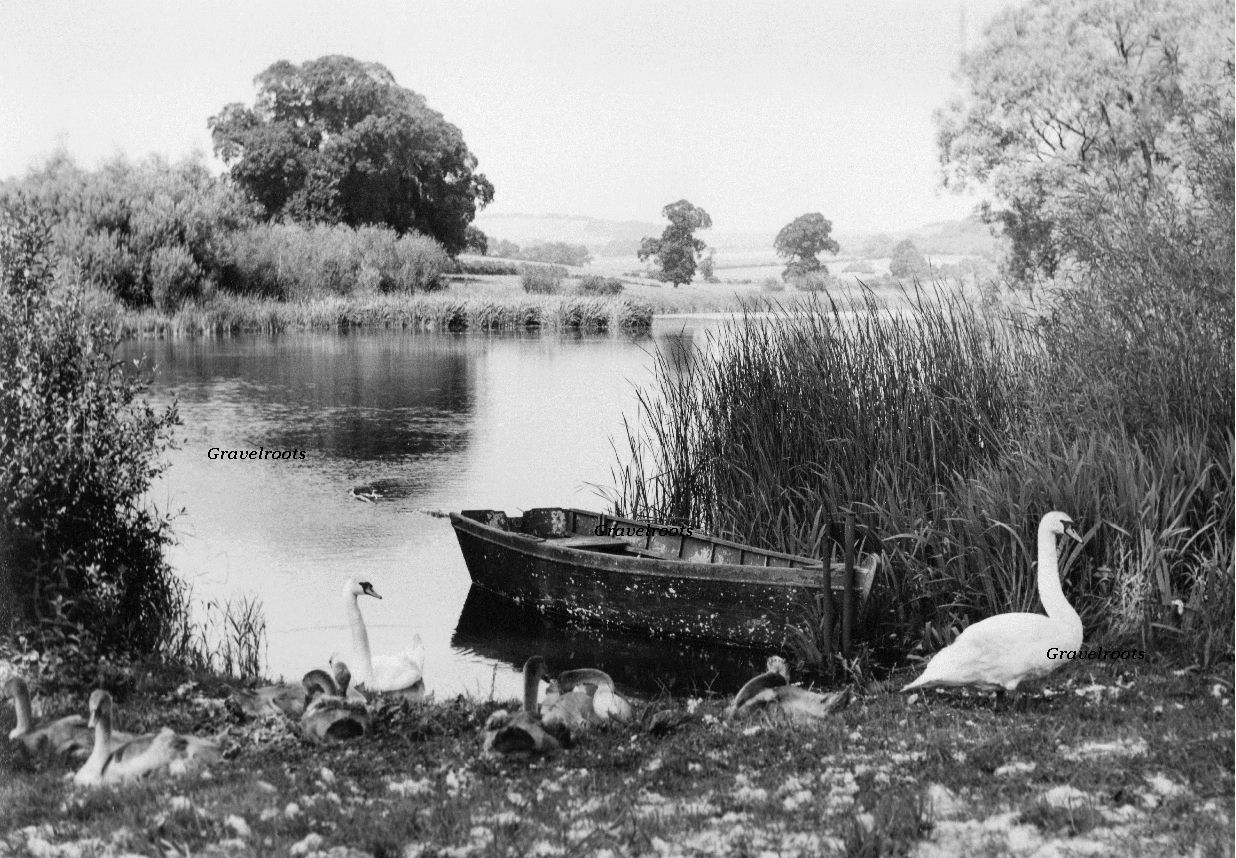 Patching pond, further image below