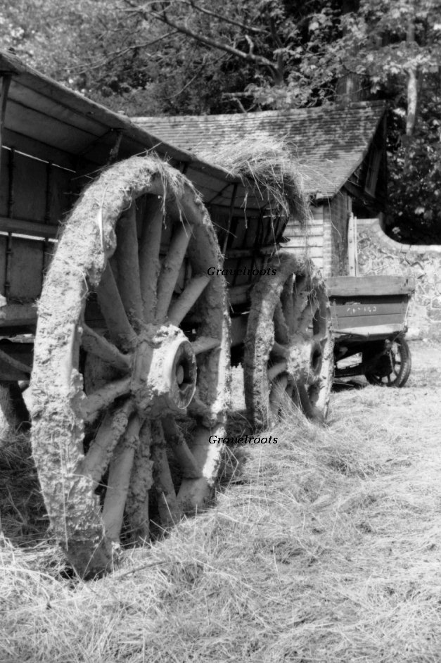Newick, Sussex 20 May 1951 
further image below