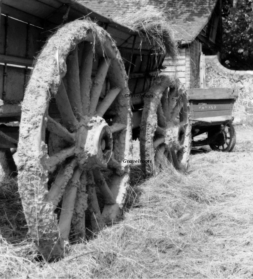Newick, Sussex 20 May 1951 
click image to return