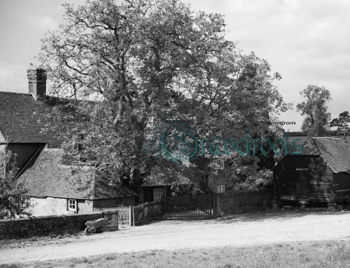 Netherlands Farm, Halfway Bridge - click image to return