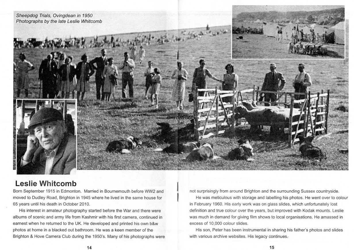 click image to return