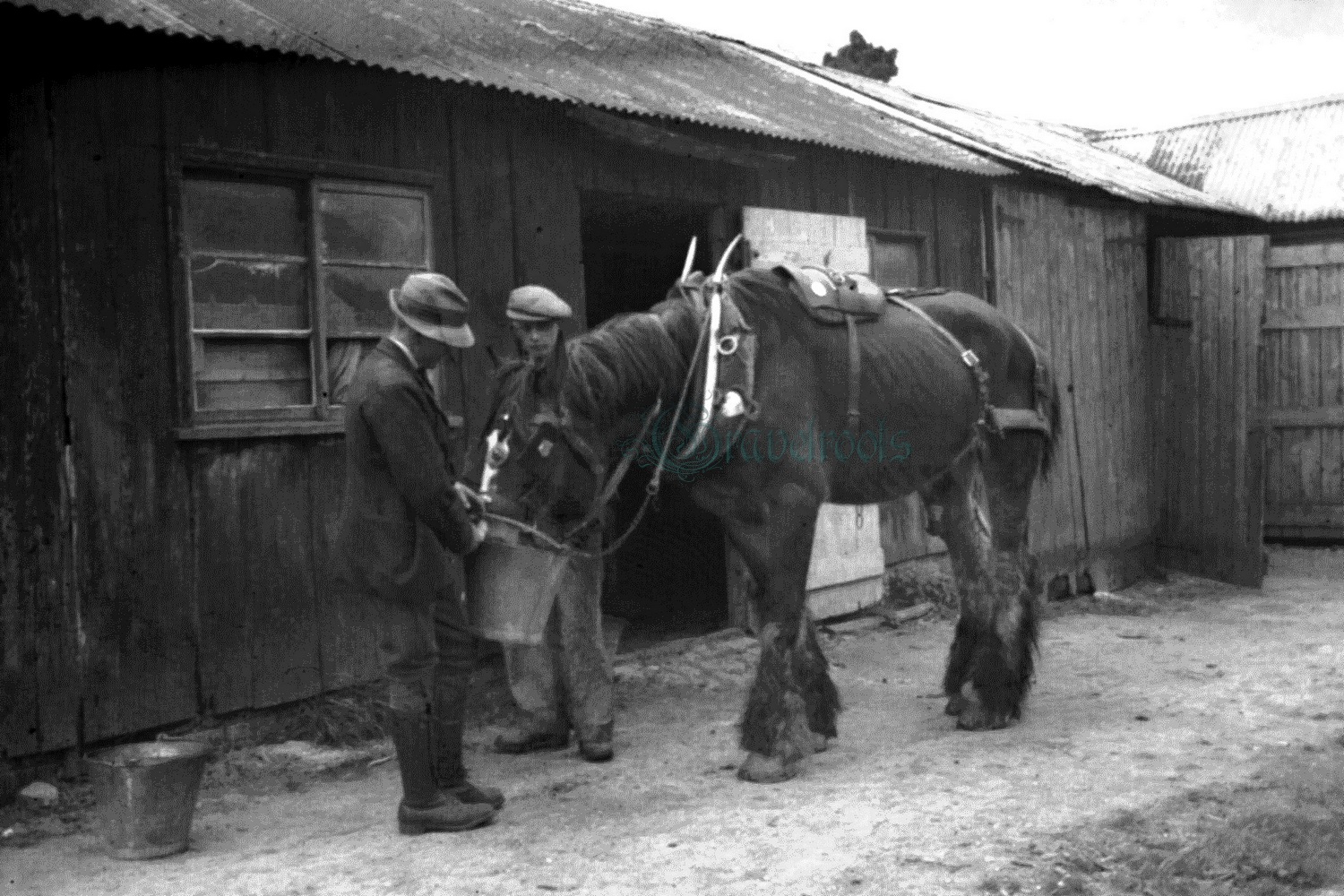 click image to return