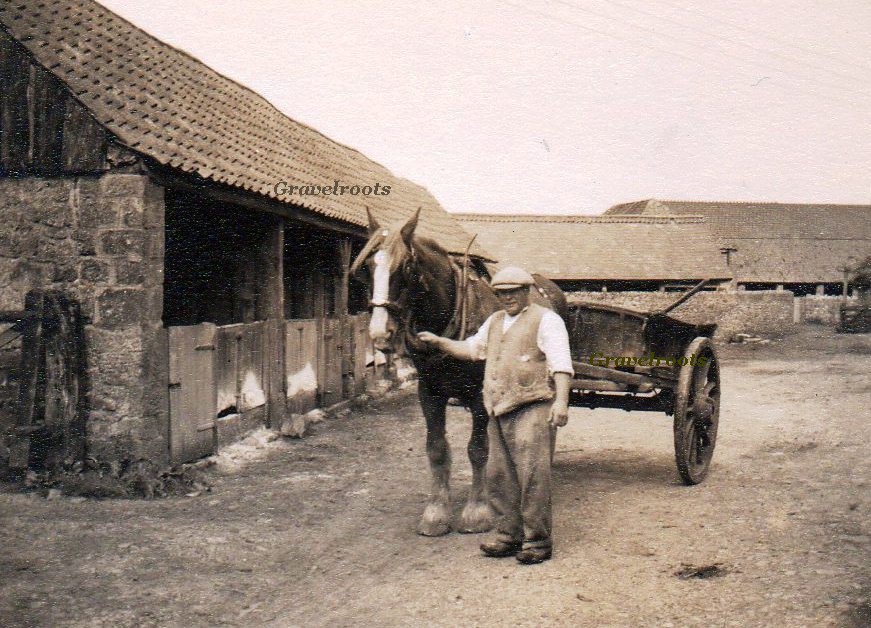 click image to return