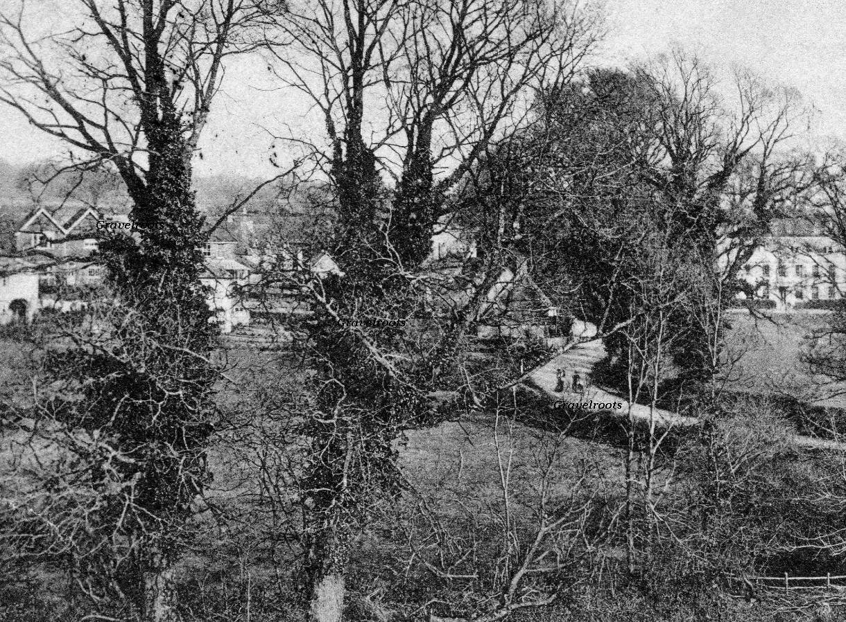 Fyning, Rogate, Sussex, c.1900-05 - 
further image below