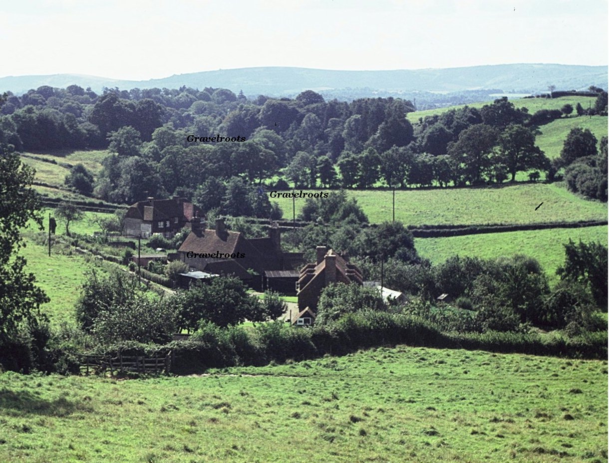 Old photos of Petworth, click image to return
