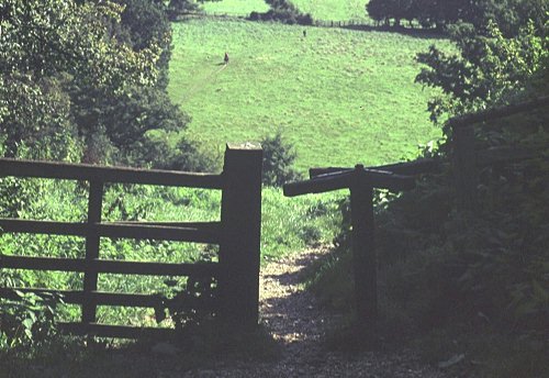 Petworth