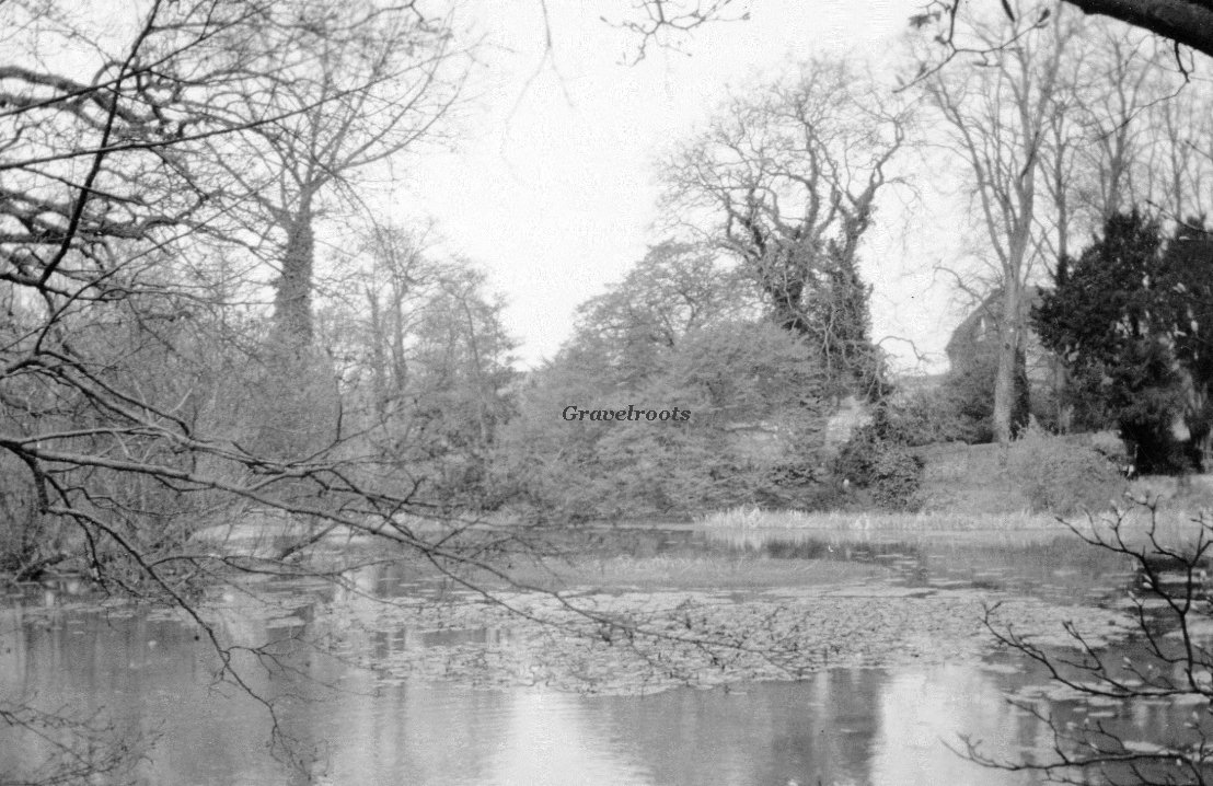 South Pond, Midhurst, Sussex, click image to return