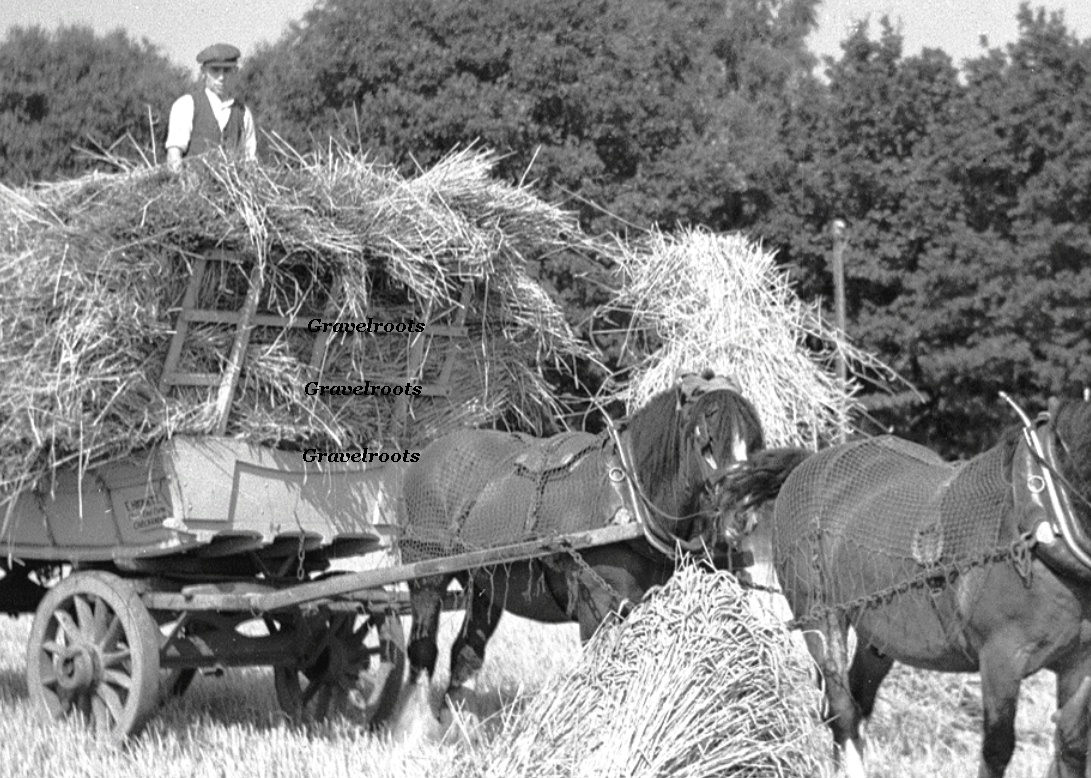  
click image to return