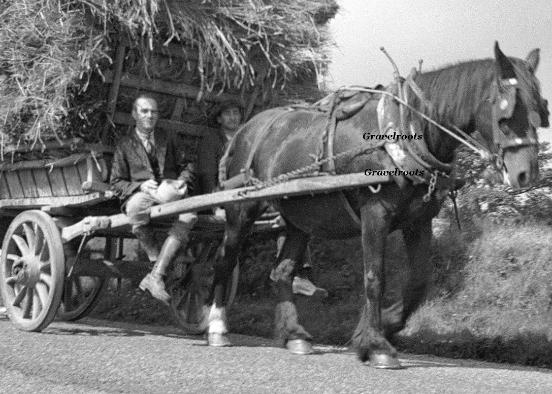 haymaking 
click image to return