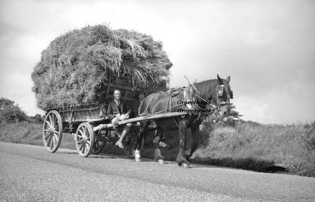 haymaking 
further image below