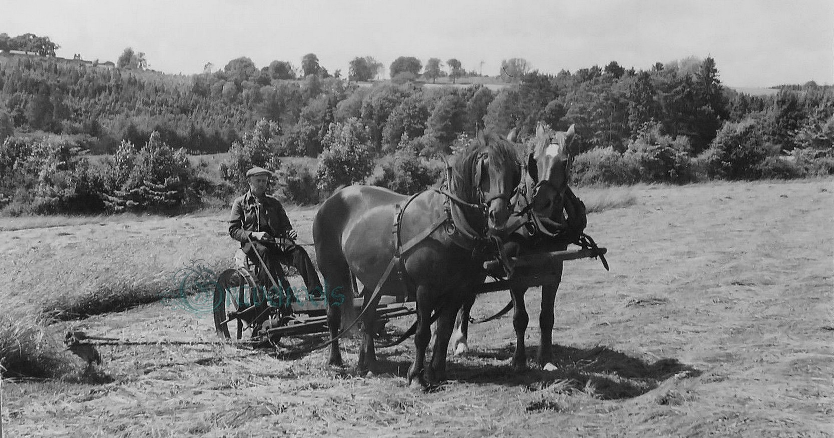 Madehurst, click image to return