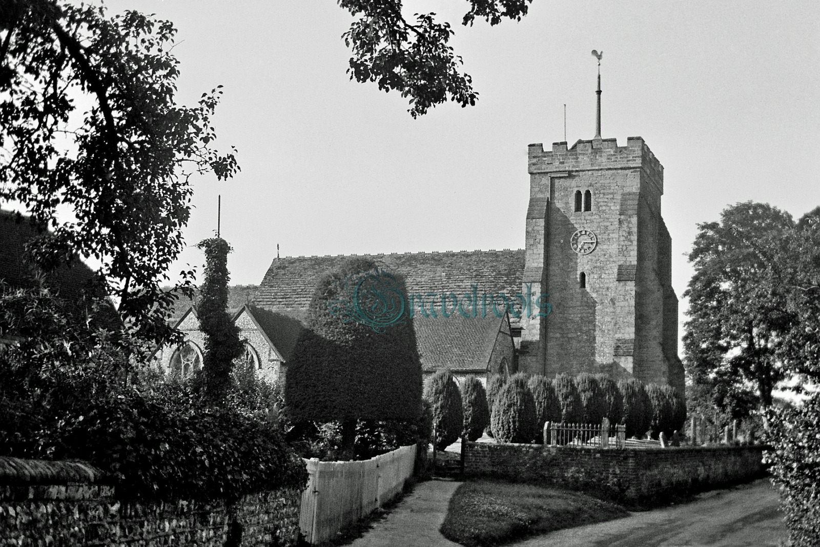 click image to return