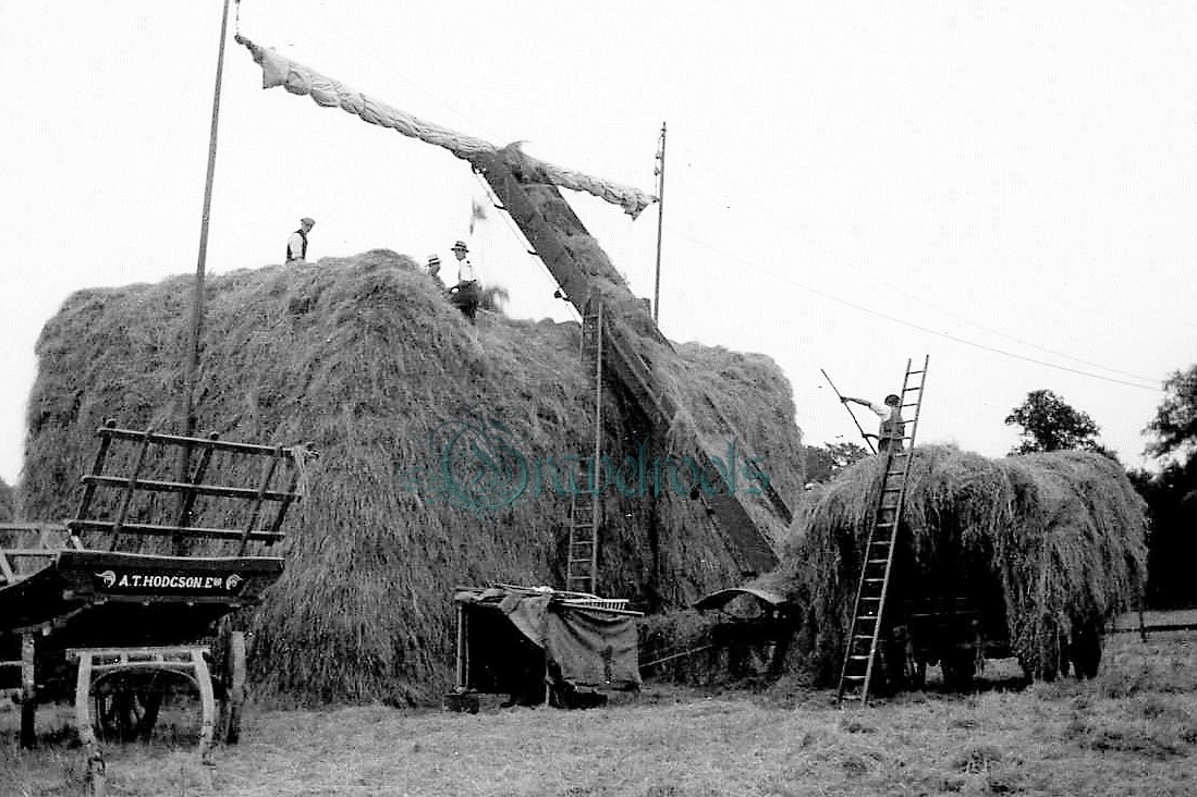 click image to return