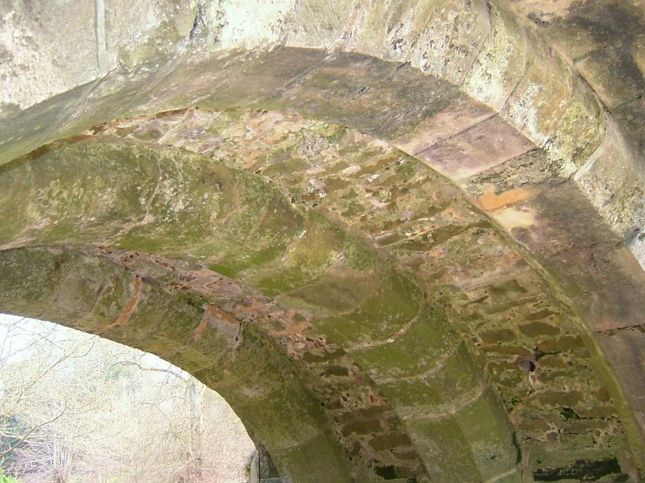 click image to return